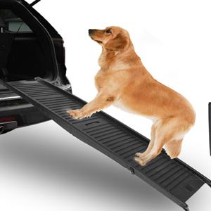 DC-6206 Dog Ramp