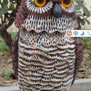 HD-0012 Hunting Owl Decoy