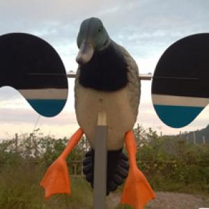 HD-0036 Electric Duck Decoy