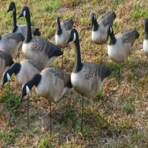 HD-0092 Goose Decoy